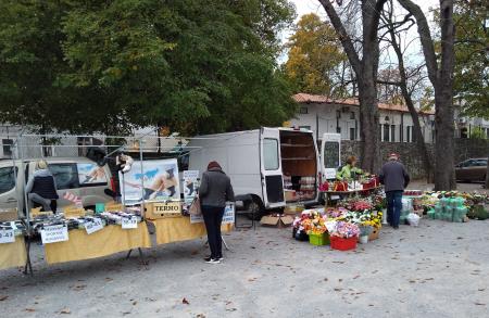 Sejem Občina Sežana
